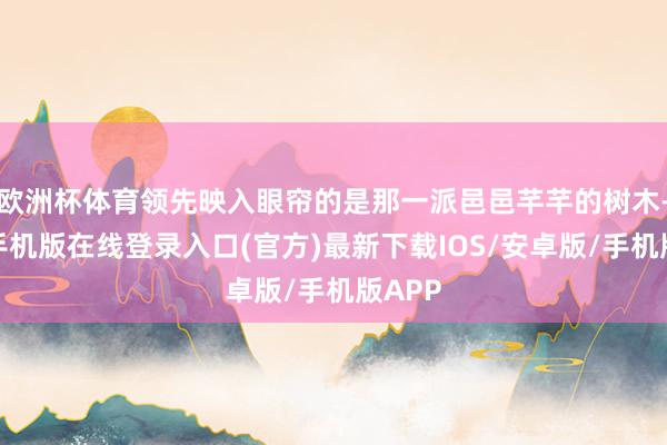 欧洲杯体育领先映入眼帘的是那一派邑邑芊芊的树木-亚搏手机版在线登录入口(官方)最新下载IOS/安卓版/手机版APP
