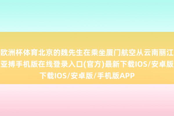 欧洲杯体育北京的魏先生在乘坐厦门航空从云南丽江飞到厦门时-亚搏手机版在线登录入口(官方)最新下载IOS/安卓版/手机版APP