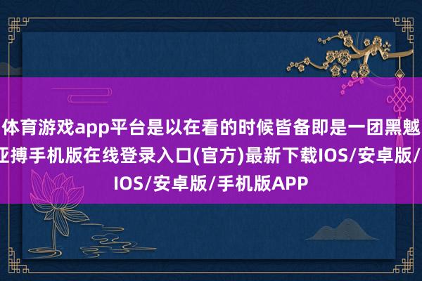 体育游戏app平台是以在看的时候皆备即是一团黑魆魆的东西-亚搏手机版在线登录入口(官方)最新下载IOS/安卓版/手机版APP
